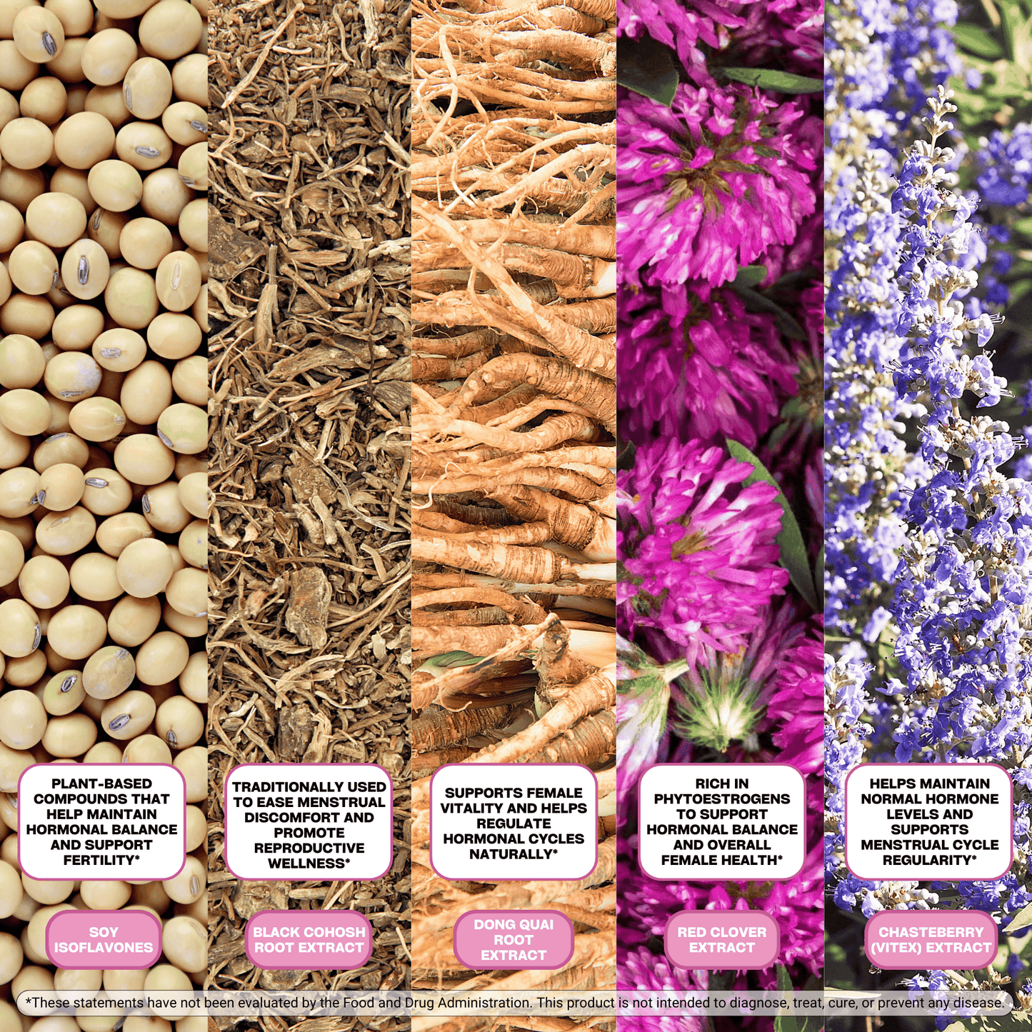 Balance – Menstrual & Menopausal Wellness Capsules for Hormonal Health & Fertility