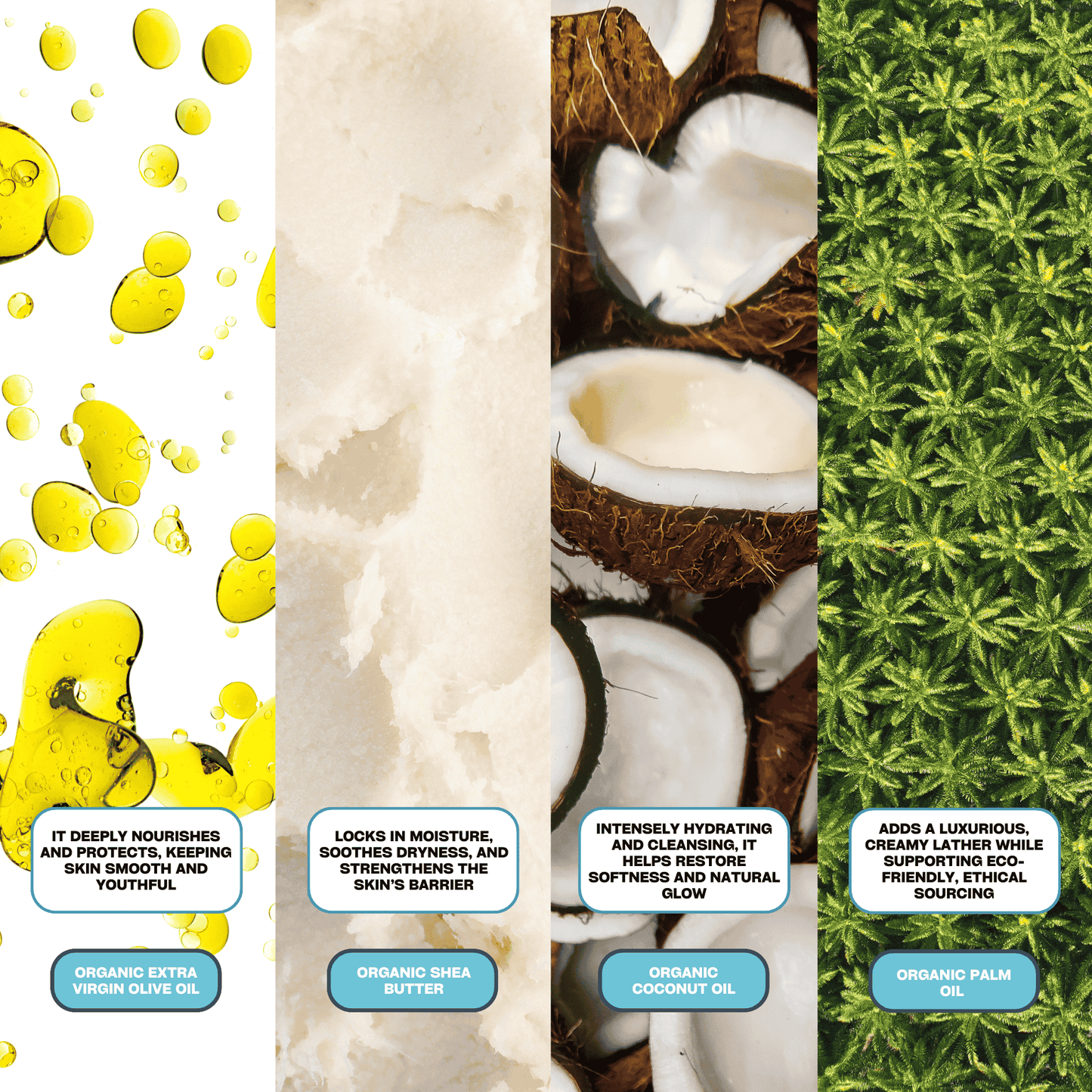 Coconut Soap Bar – Organic Hydrating Body Soap for Sensitive & Dry Skin