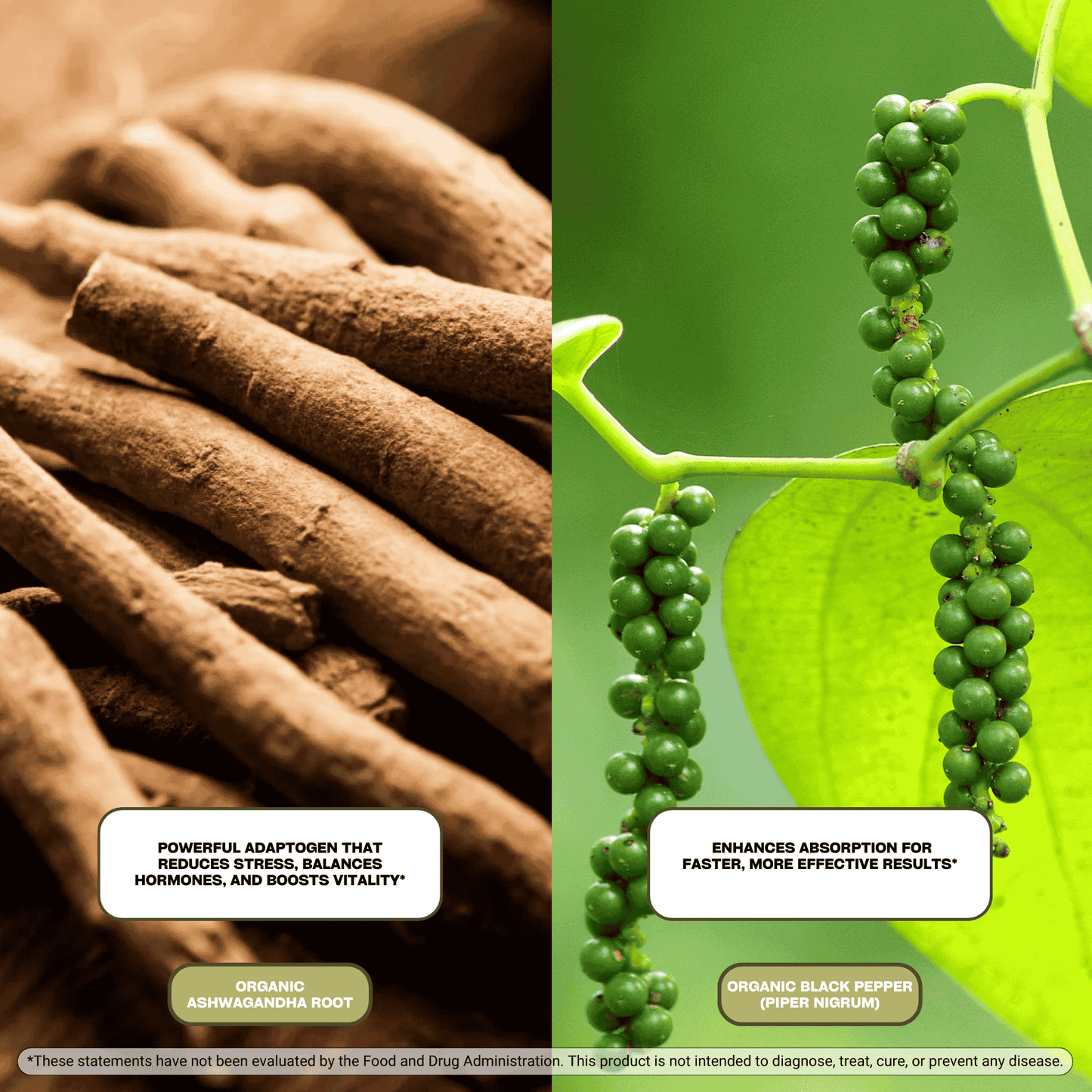 Ashwagandha Capsules – Organic Stress Relief & Energy Support