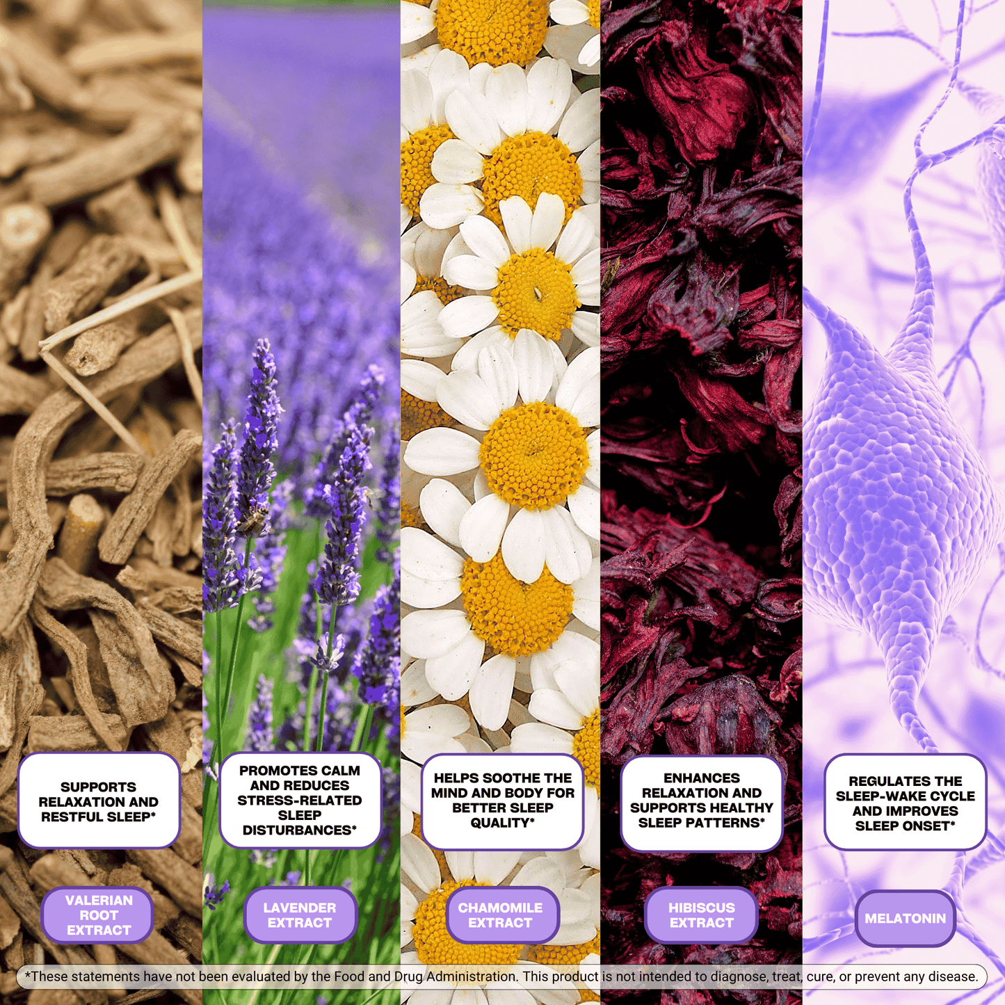 Dream Quiet Strips — Fast-Acting Natural Sleep Support for Restful Nights