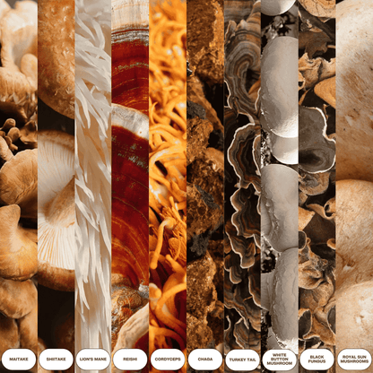 Mushroom Extract Complex Gummies – Focus, Energy & Wellness