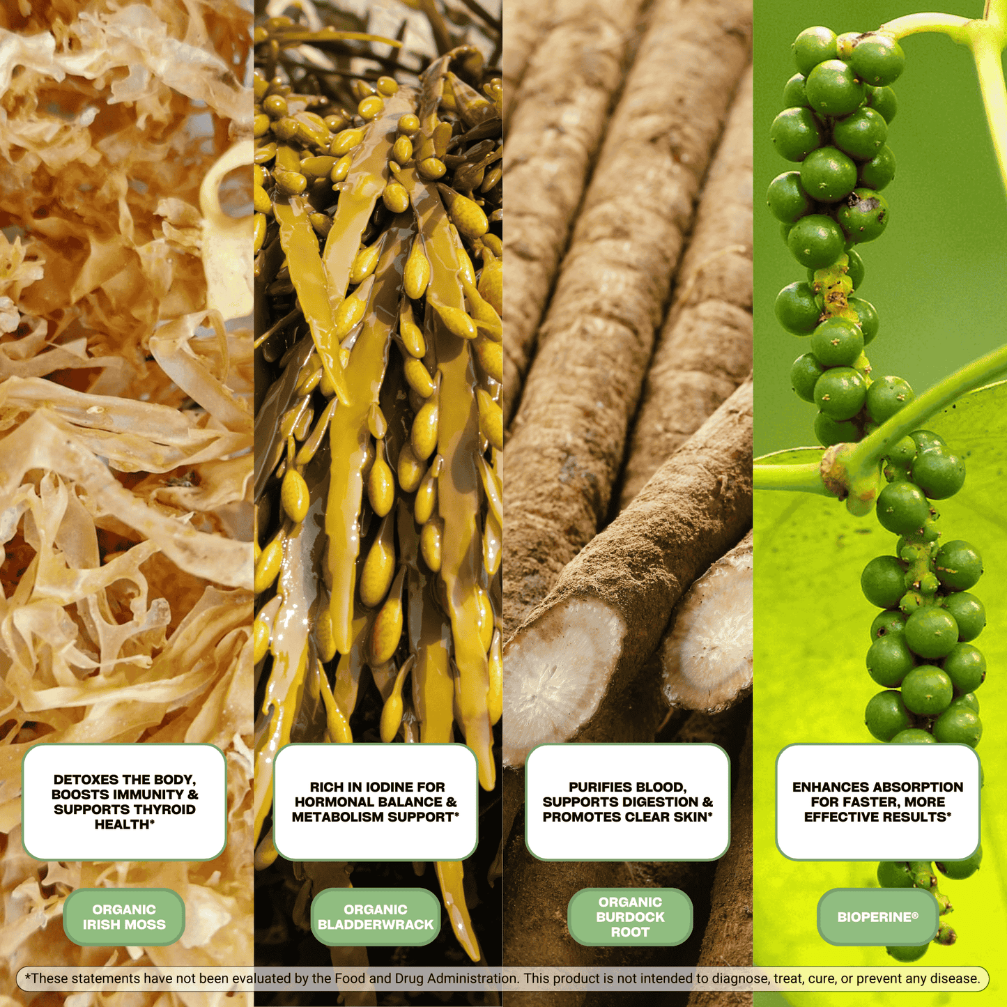 Sea Moss Capsules with Bladderwrack & Burdock Root – Thyroid, Immunity & Skin Support