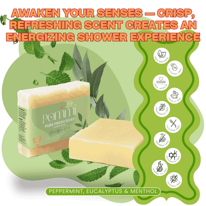 Pure Fresh Soap — Energizing Peppermint & Eucalyptus Aromatherapy Bar